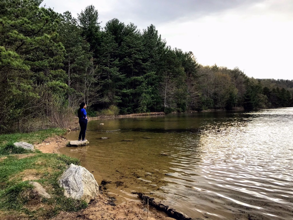 Friday Evening in the Michaux State Forest,&nbsp;Pennsylvania