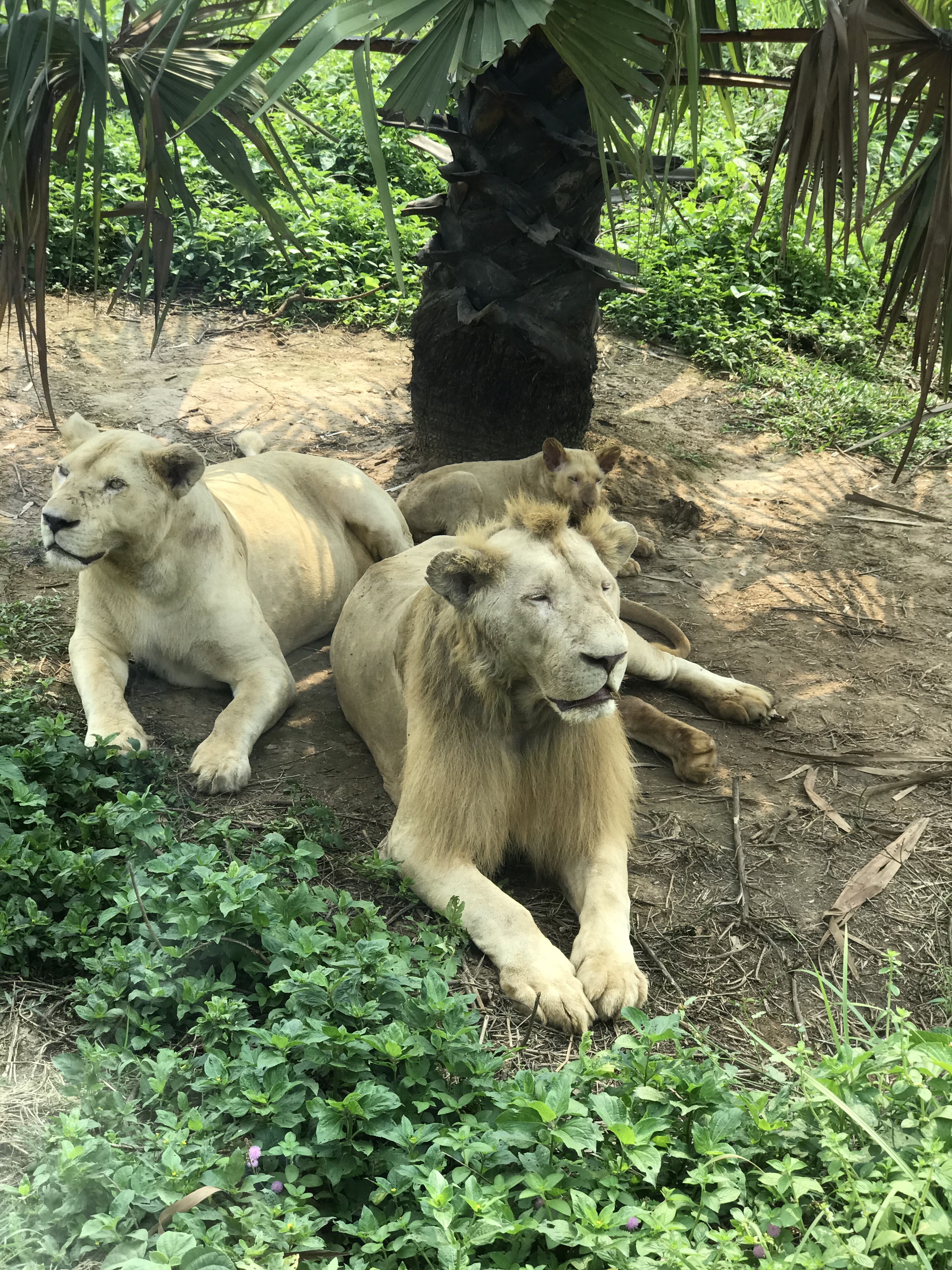 F74B22F9-B98E-4C49-B4EC-98FDB669078D