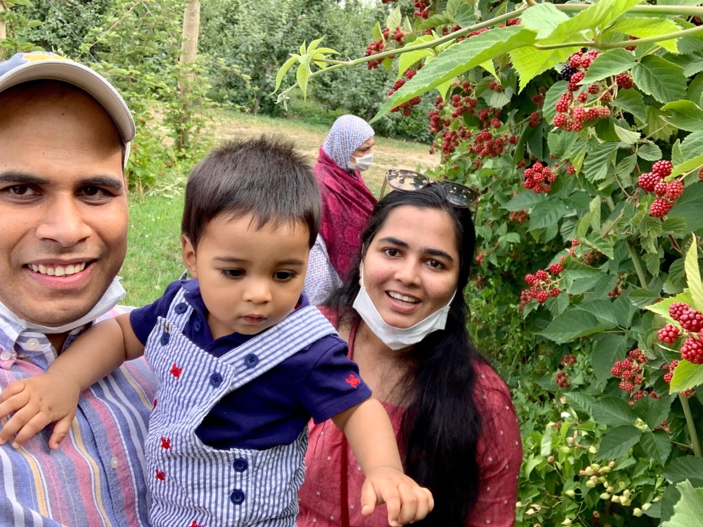 Blueberry and Blackberry&nbsp;Picking